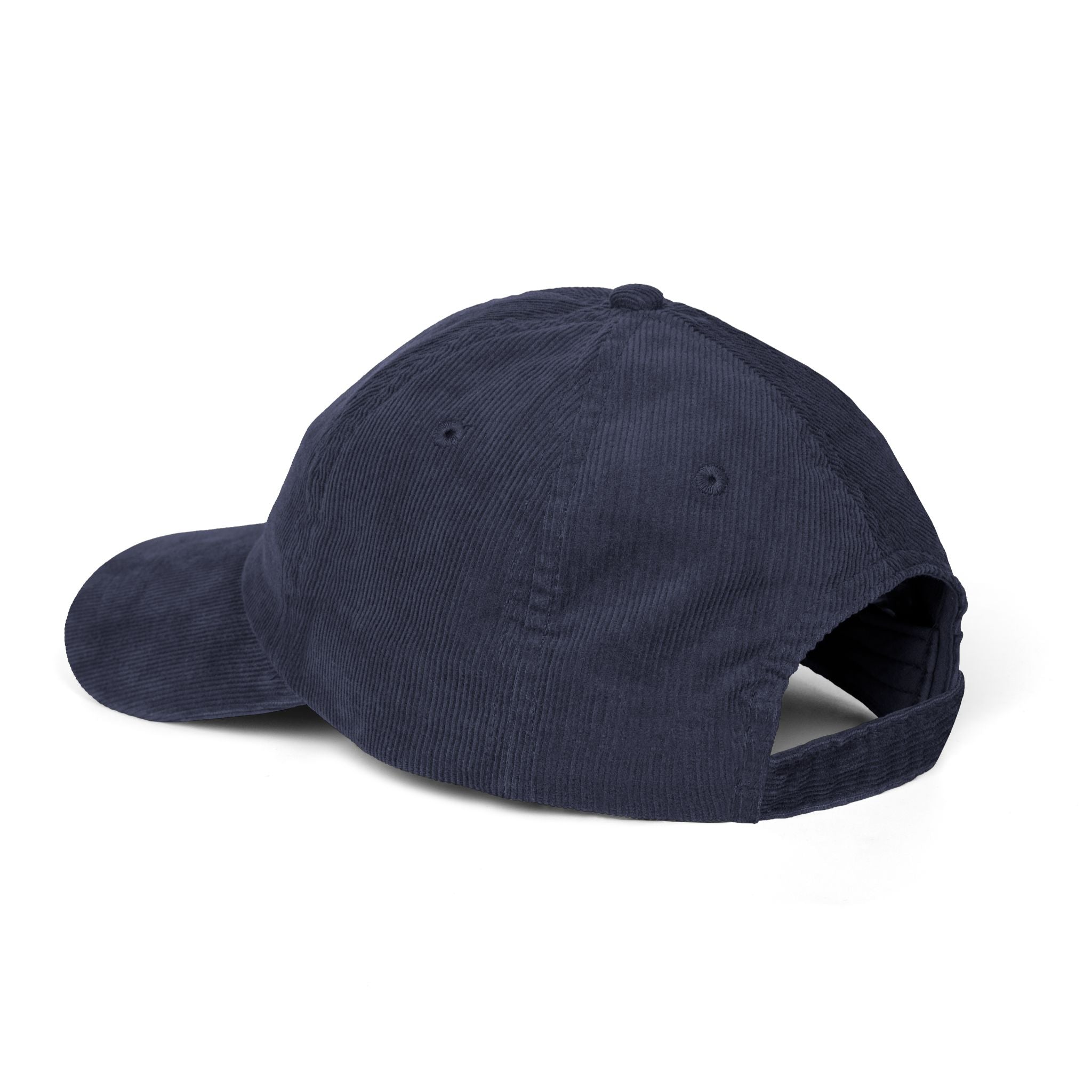 'The Unf*ck America Tour' (Embroidered Cap)