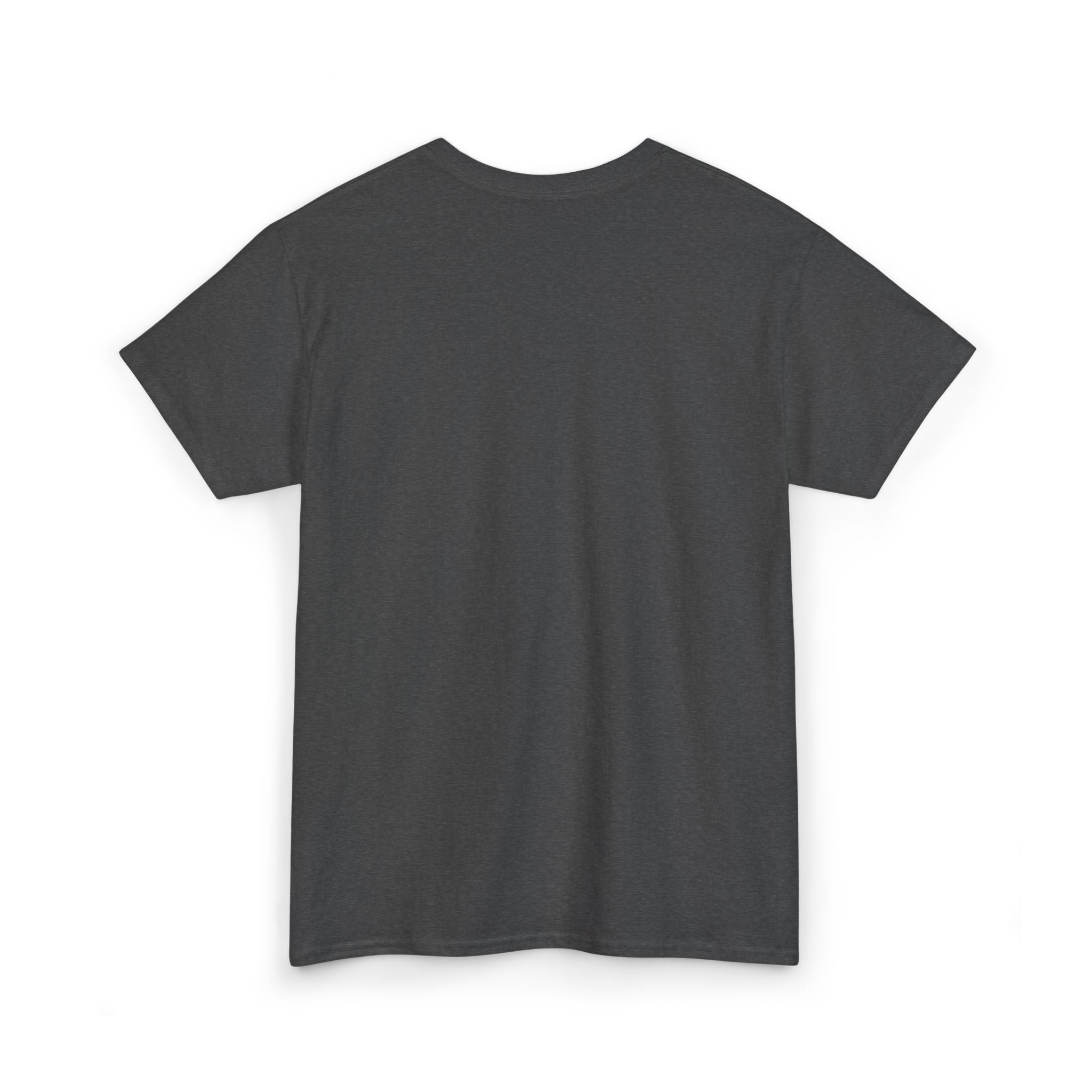 'Unf*ck America' (Embroided Minimalist Tee)