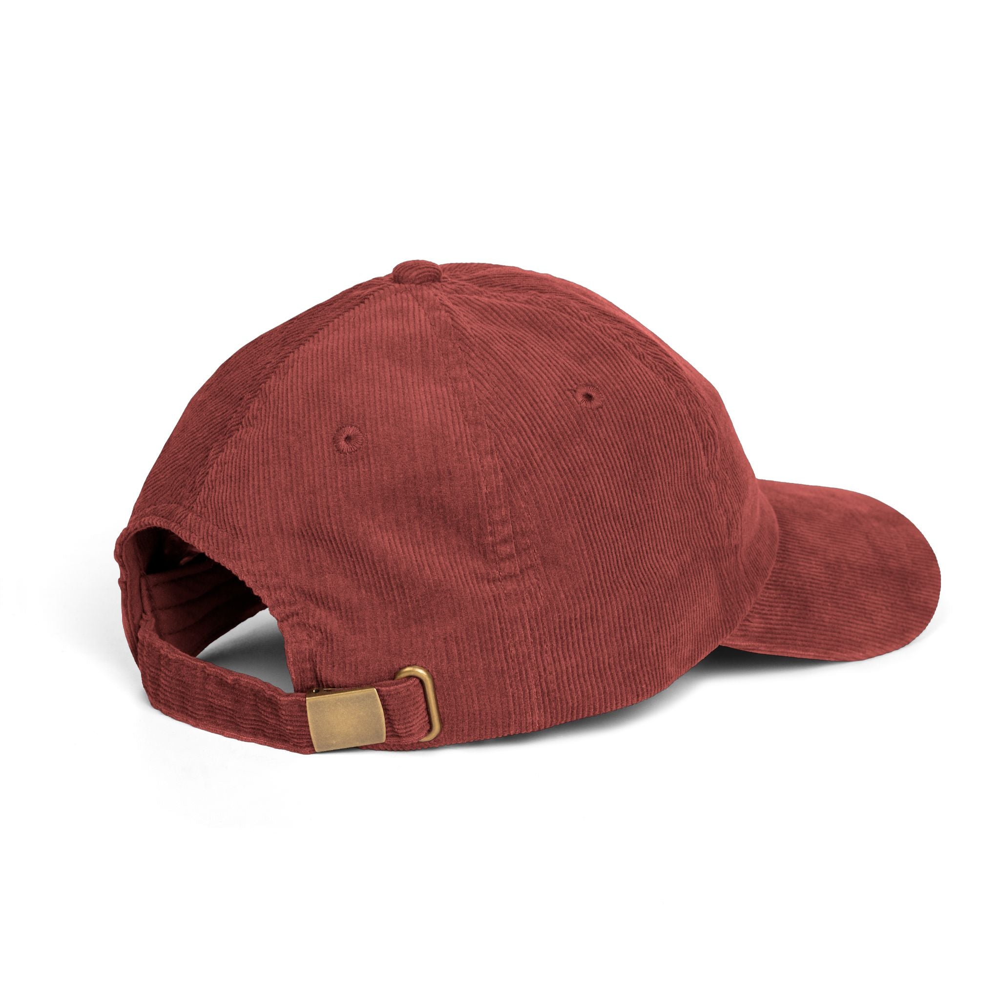 'The Unf*ck America Tour' (Embroidered Cap)